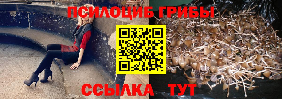 Елец  купить наркотики сайты  Вход с VPN  Псилоцибиновые грибы Magic Shrooms 