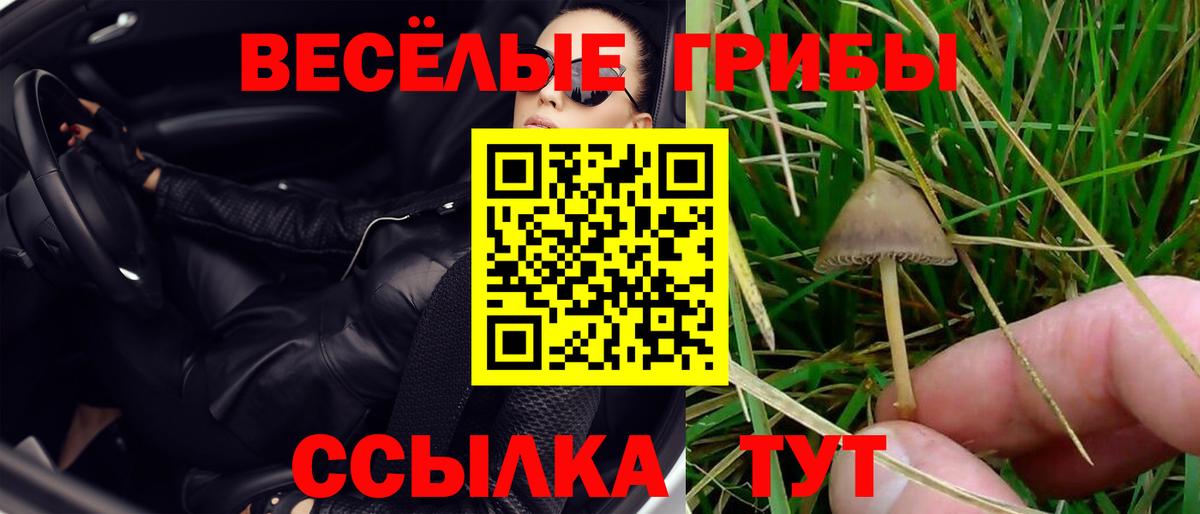 Псилоцибиновые грибы мухоморы Елец