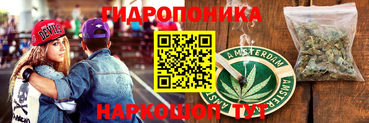 Елец  Бошки марихуана план  Шишки марихуана марихуана  Каннабис Amnesia  Вход с VPN 